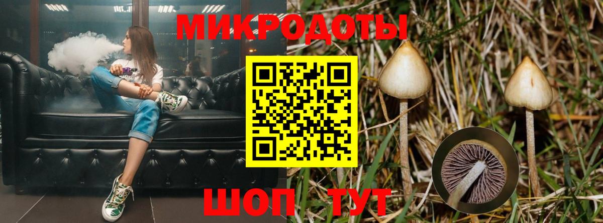 Чапаевск  Псилоцибиновые грибы прущие грибы  Вход с VPN 